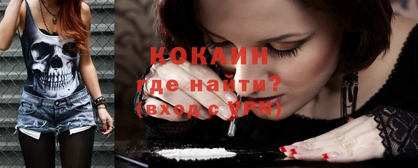 стафф Новокубанск