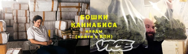 стафф Новокубанск