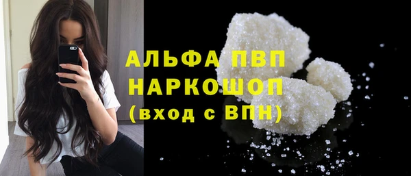 стафф Новокубанск