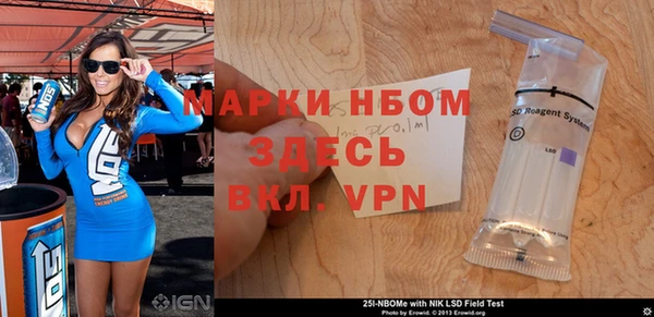 стафф Новокубанск